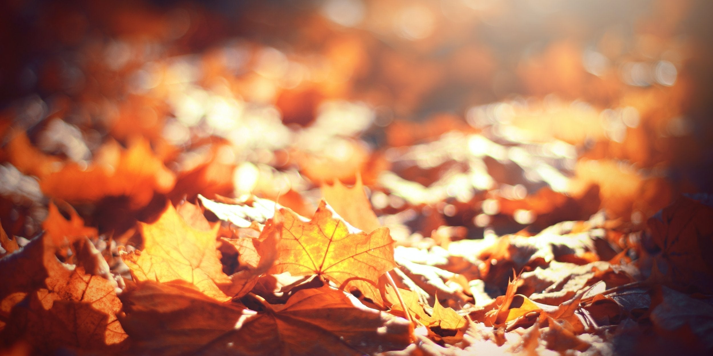 Be Careful What You Give Thanks For