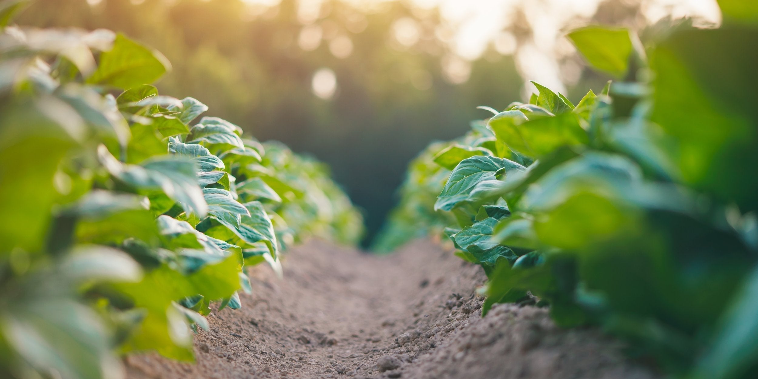 Fix the System, Not the Symptom