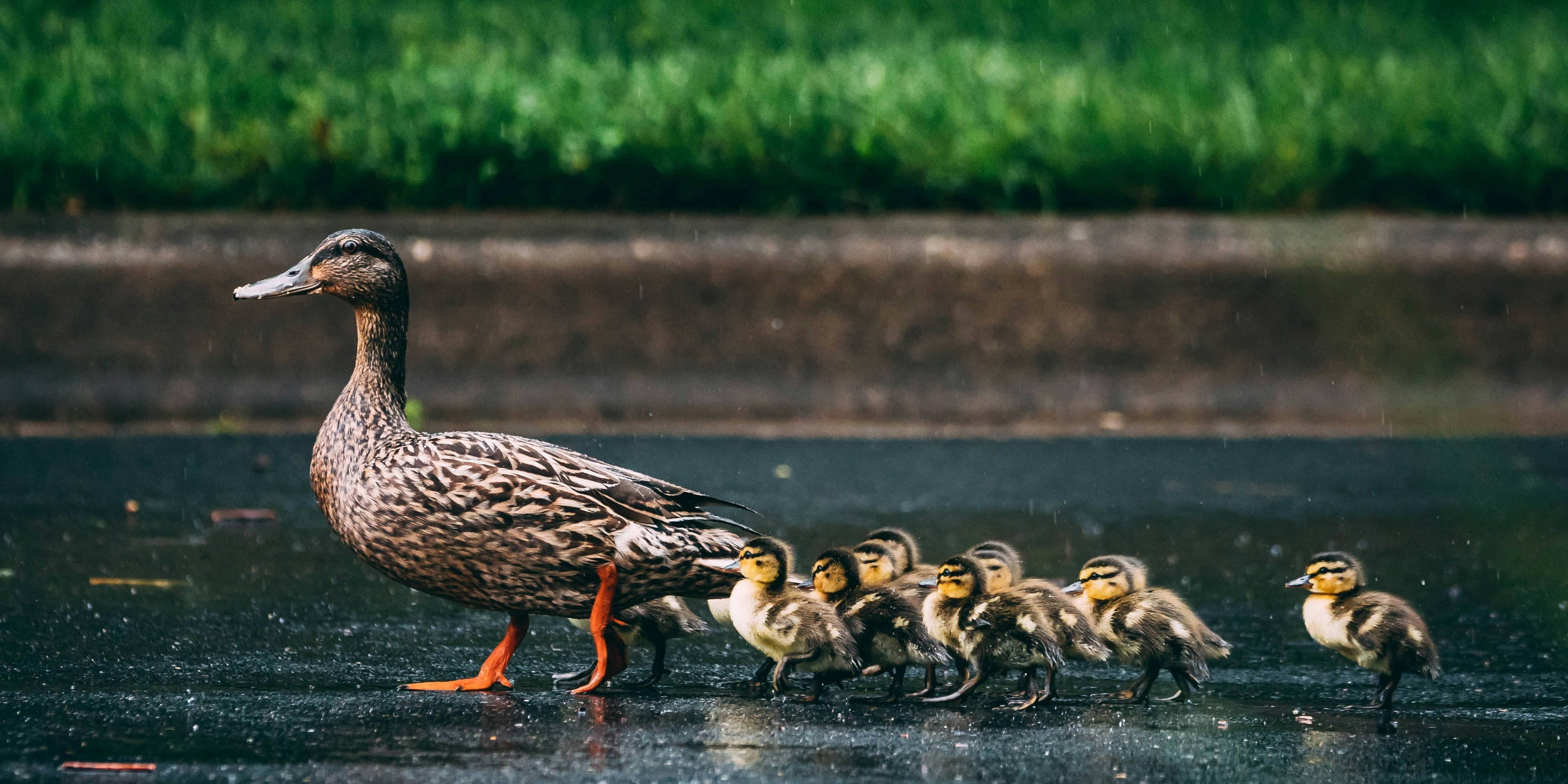 Build a Tribe of Followers, not just Customers: Ten Proven Practices